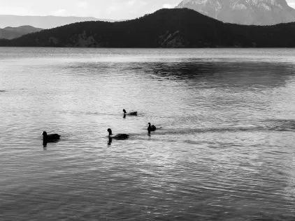 Kasino Midas Mobilná aplikácia